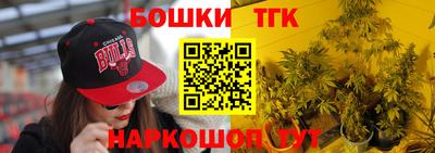 Альфа ПВП Кандалакша