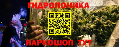 Альфа ПВП Кандалакша