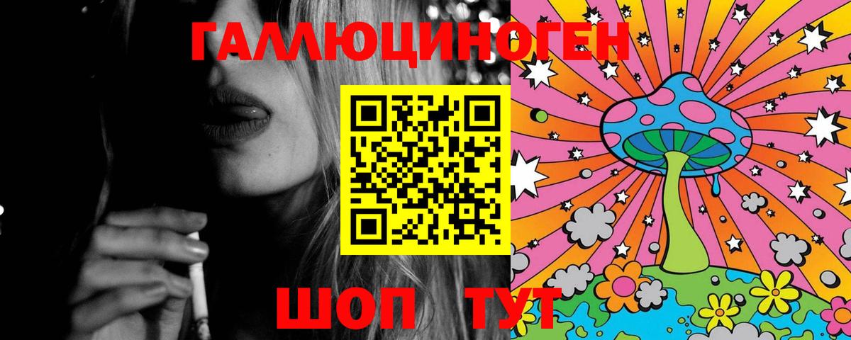 хочу   Галлюциногенные грибы GOLDEN TEACHER  Вход с VPN  Курск 