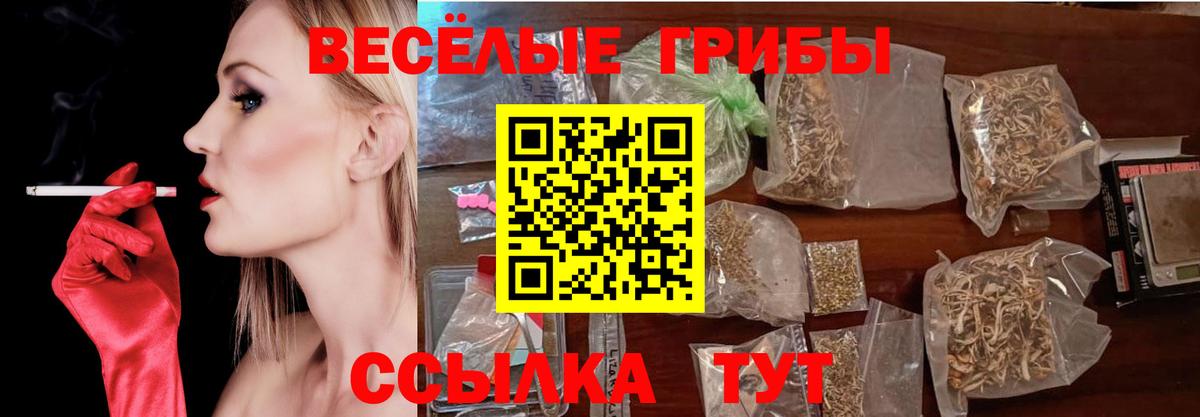 Галлюциногенные грибы MAGIC MUSHROOMS Курск