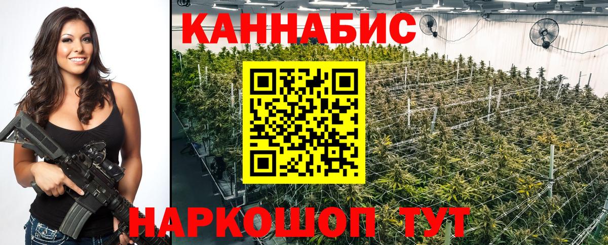 Конопля THC 21%  Каннабис ГИДРОПОН  Конопля SATIVA & INDICA  Курск  Вход с VPN  Канабис индика 